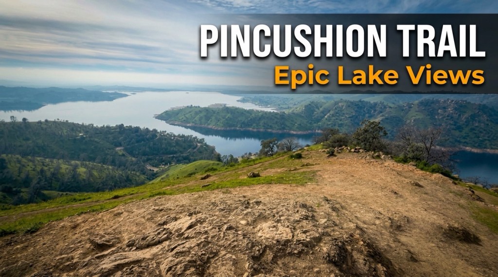 Explore the Pincushion Trail: A Must-Do&nbsp;Hike